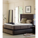  Stearns & Foster Oak Terrace Plush Tight Top Mattress (King) IMAGE 4