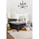 Sealy Copper II Firm Mattress Set (California King) IMAGE 13