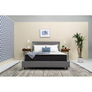  Sealy 10” Memory Foam Mattress Set (King) IMAGE 1