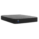  Sealy Maple Lane Plush Mattress (Split Queen) IMAGE 1