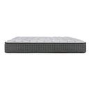  Sealy Dovercourt II Firm Tight Top Mattress (Queen) IMAGE 3