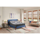  Sealy Hall II Plush Euro Top Mattress (Queen) IMAGE 10