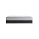  Sealy Diggens Firm Tight Top Mattress Set (Queen) IMAGE 3