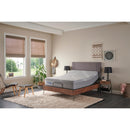  Sealy Oriole Medium Hybrid Mattress (Twin XL) IMAGE 18