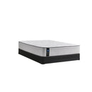  Sealy Summer Rose Medium Faux Euro Top Mattress (King) IMAGE 4