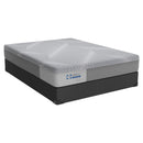 Sealy Brightwell Firm Hybrid Mattress Set (Queen) IMAGE 1