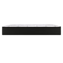  Sealy Sealy Special Cushion Firm Tight Top Mattress (Full) IMAGE 4