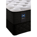  Sealy Sealy Special Cushion Firm Tight Top Mattress Set (Full) IMAGE 5