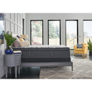  Sealy Avonlea Medium Euro Pillow Top Mattress Set (Twin) IMAGE 7