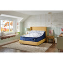  Stearns & Foster Mon Cheri Luxury Medium Firm Pillow Top Mattress (Full) IMAGE 16