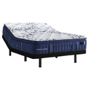  Stearns & Foster Mon Cheri Luxury Medium Firm Pillow Top Mattress (Full) IMAGE 8