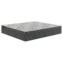  Sherwood Bedding Group Moonlite Firm Mattress (Queen) IMAGE 1