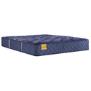  Sealy Remmington Medium Tight Top Mattress (Full) IMAGE 1