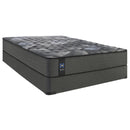  Sealy Sloan Firm Tight Top Mattress (Queen) IMAGE 4
