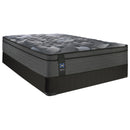  Sealy Analina Plush Euro Top Mattress Set 9" (Queen) IMAGE 1