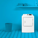 Element 7.0 Cu. Ft. Electric Dryer ETD7027ECW IMAGE 5