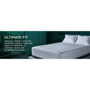  Tempur-Pedic TEMPUR-Adapt Luxe Egyptian Cotton Sheets - White (Queen) IMAGE 12